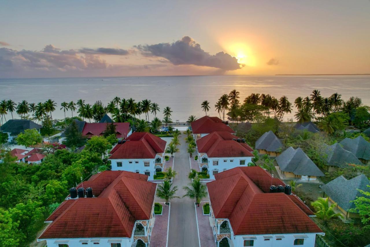 Sunny Palms